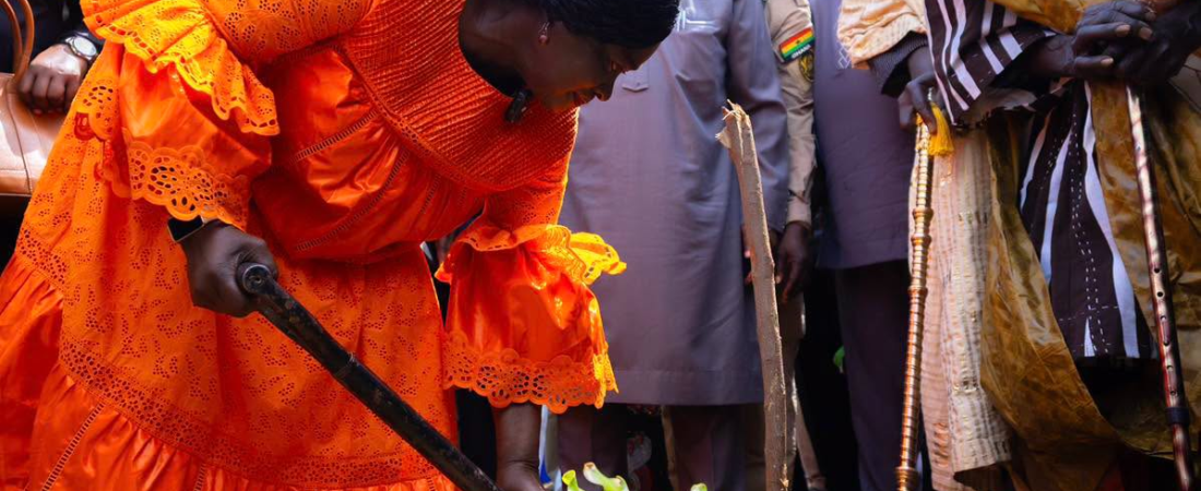 Women must earn greater share of shea industry’s value – Vice President