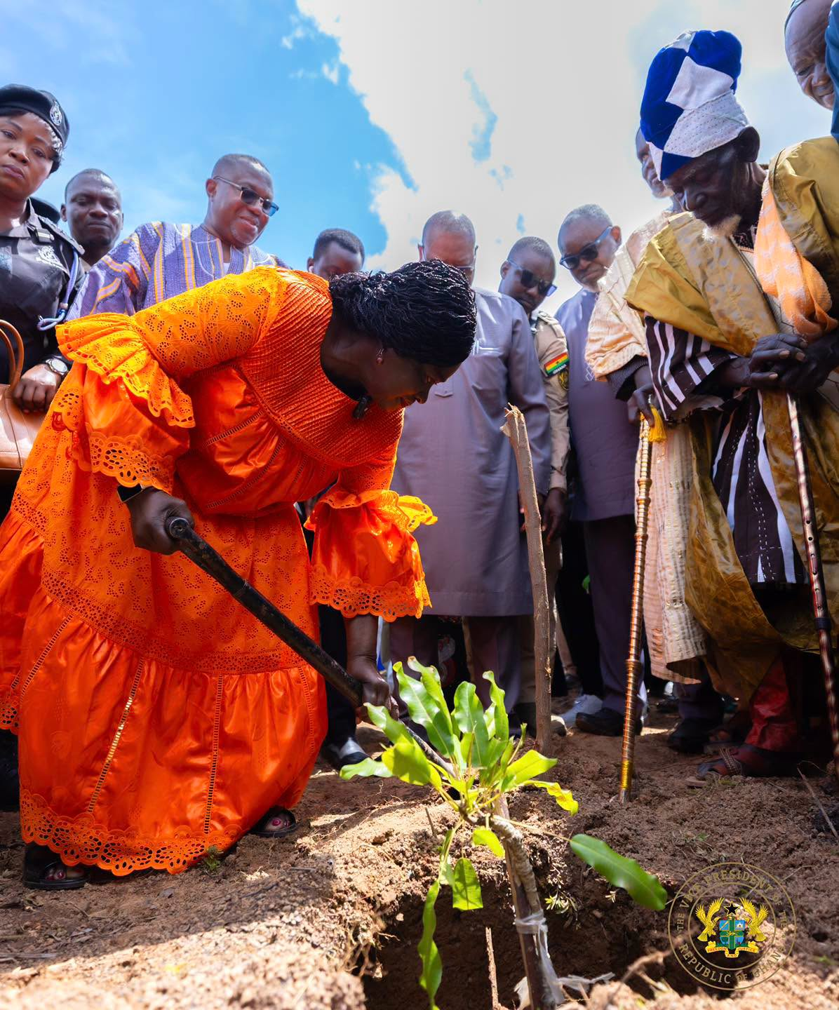 Women must earn greater share of shea industry’s value – Vice President