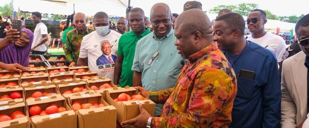 Ghana targets 100,000 tonnes of tomatoes in drive to cut imports