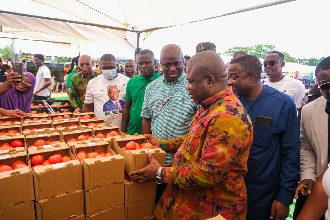 Ghana targets 100,000 tonnes of tomatoes in drive to cut imports